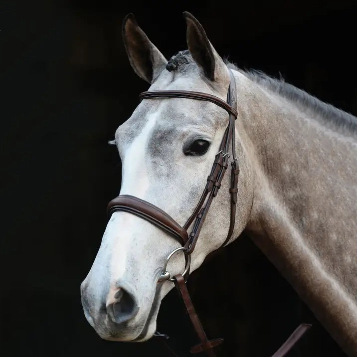 Collegiate Mono Crown Padded Raised Cavesson Bridle