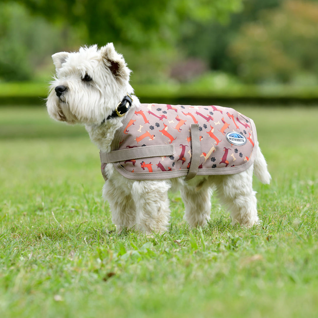 Weatherbeeta Comfitec Essential Dog Coat