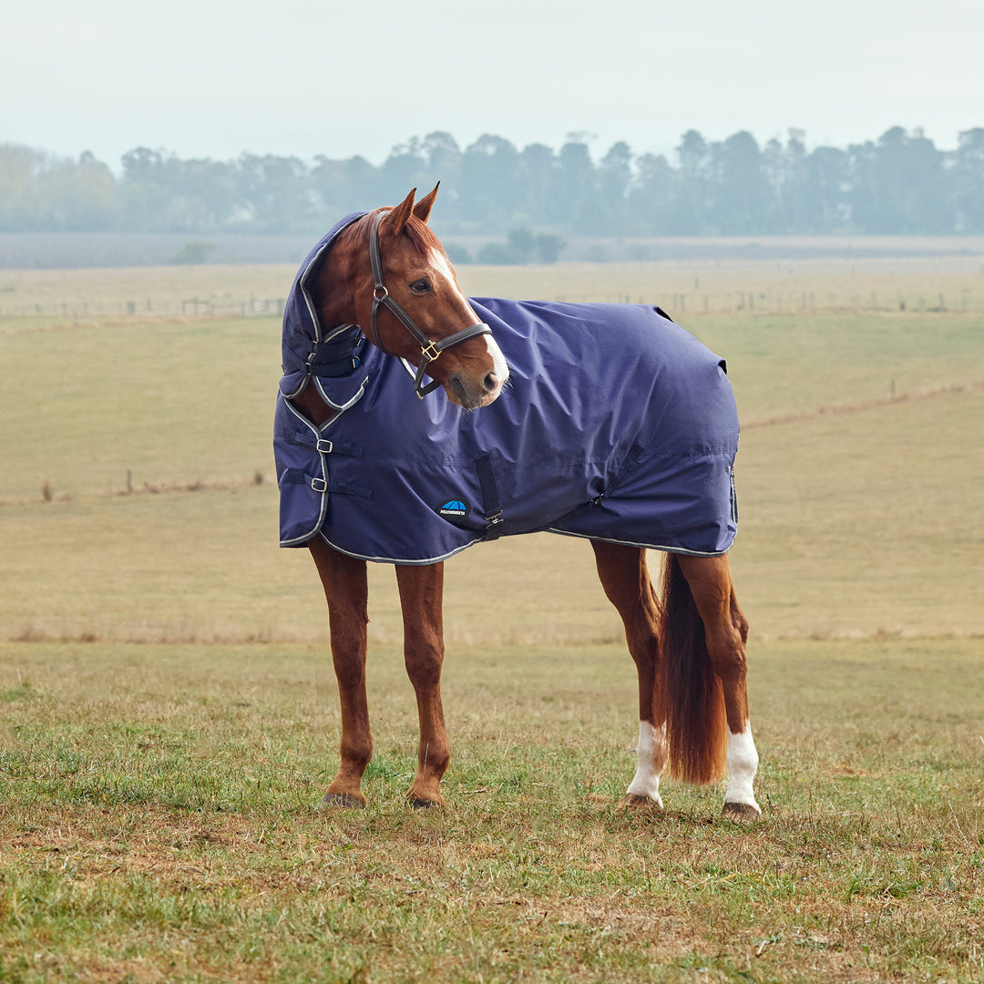 Weatherbeeta Comfitec Tyro 360g Combo Turnout