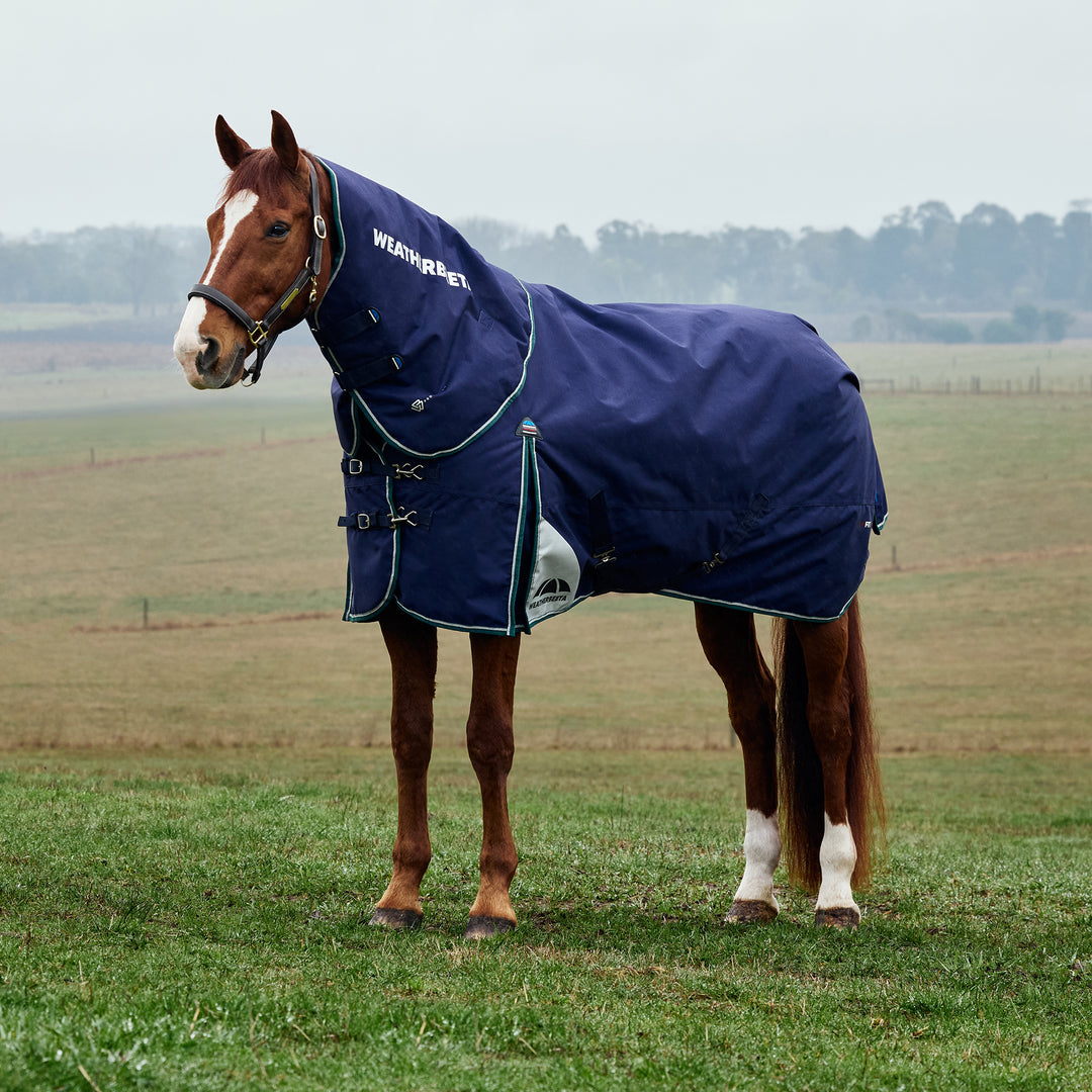Weatherbeeta Comfitec Plus Dynamic 220g Detach-A-Neck Turnout