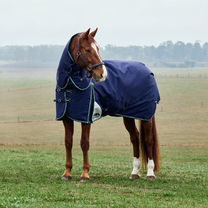 Weatherbeeta Comfitec Plus Dynamic 220g Detach-A-Neck Turnout