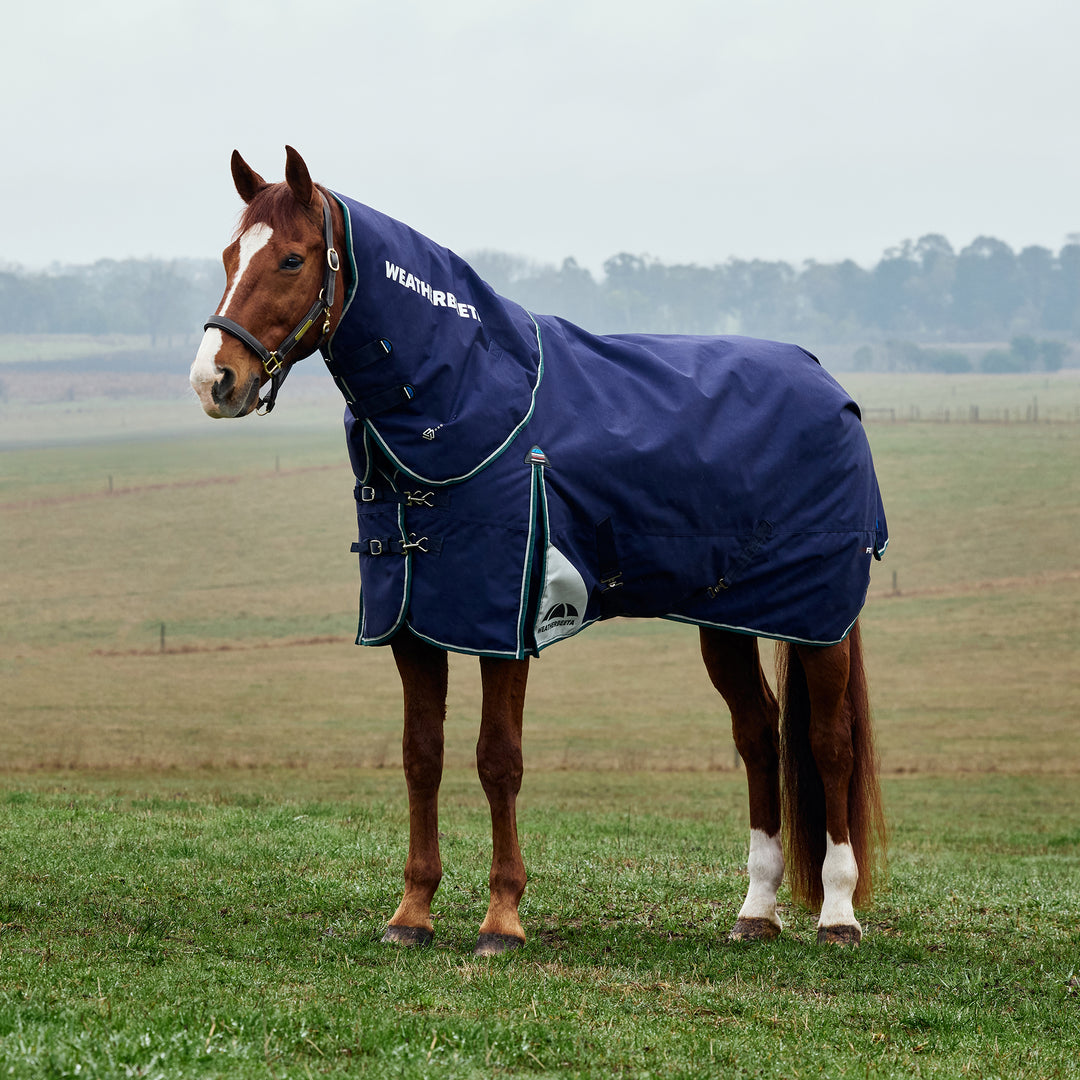 Weatherbeeta Comfitec Plus Dynamic 100g Detach-A-NeckTurnout