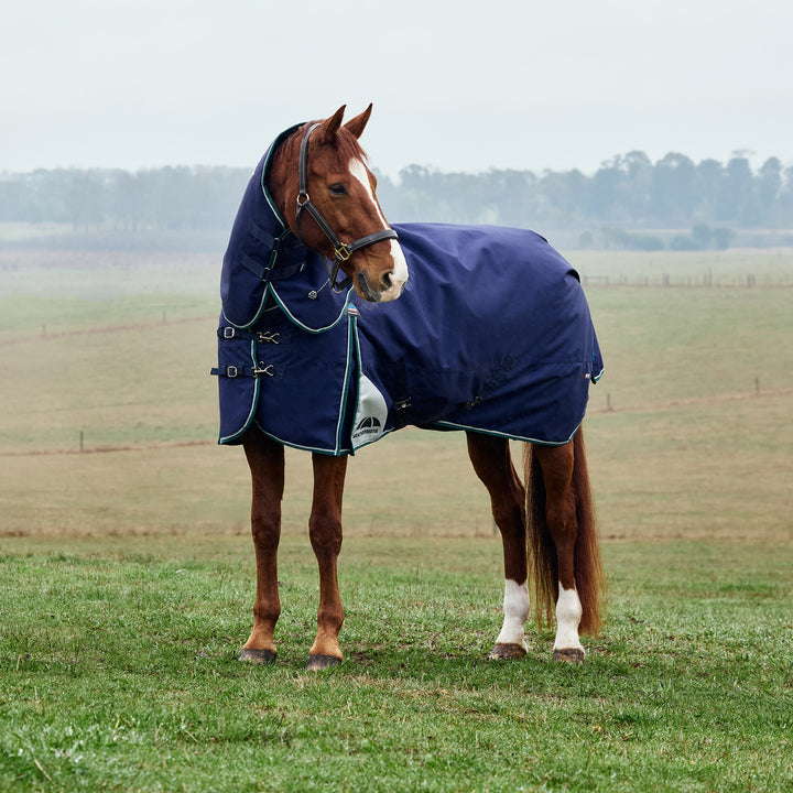Weatherbeeta Comfitec Plus Dynamic 100g Detach-A-NeckTurnout