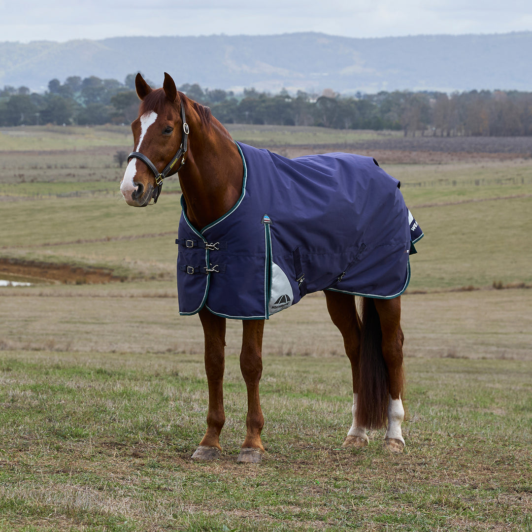 Weatherbeeta Comfitec Plus Dynamic 220g Standard Turnout