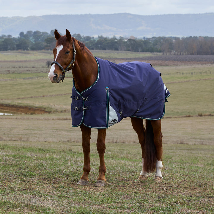 Weatherbeeta Comfitec Plus Dynamic 220g Standard Turnout
