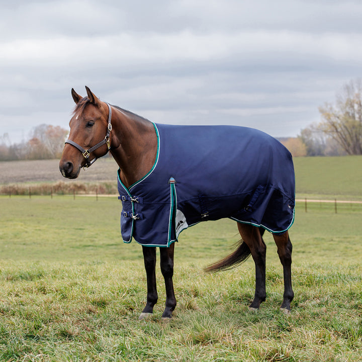 Weatherbeeta Comfitec Plus Dynamic 220g Standard Turnout