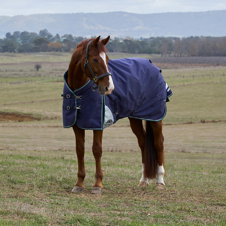 Weatherbeeta Comfitec Plus Dynamic 220g Standard Turnout