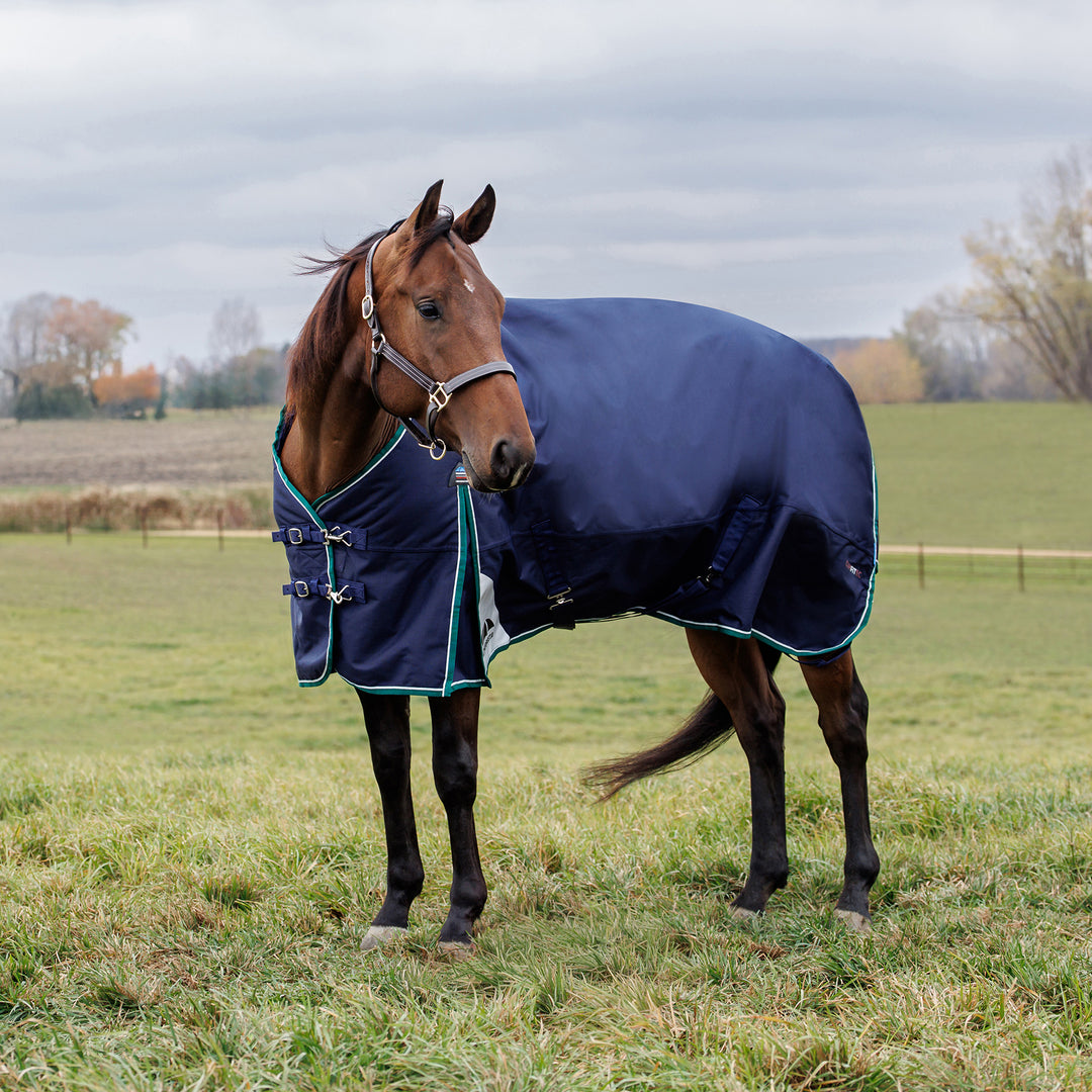 Weatherbeeta Comfitec Plus Dynamic 220g Standard Turnout