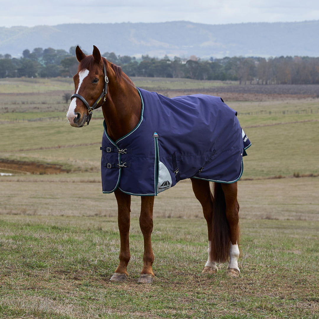 Weatherbeeta Comfitec Plus Dynamic 100g Standard Turnout