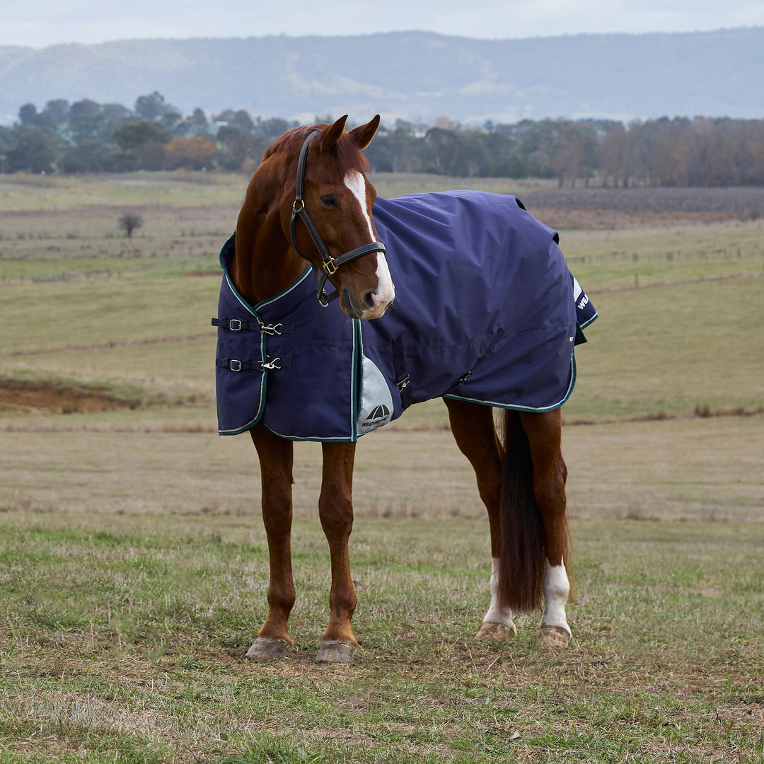Weatherbeeta Comfitec Plus Dynamic 100g Standard Turnout