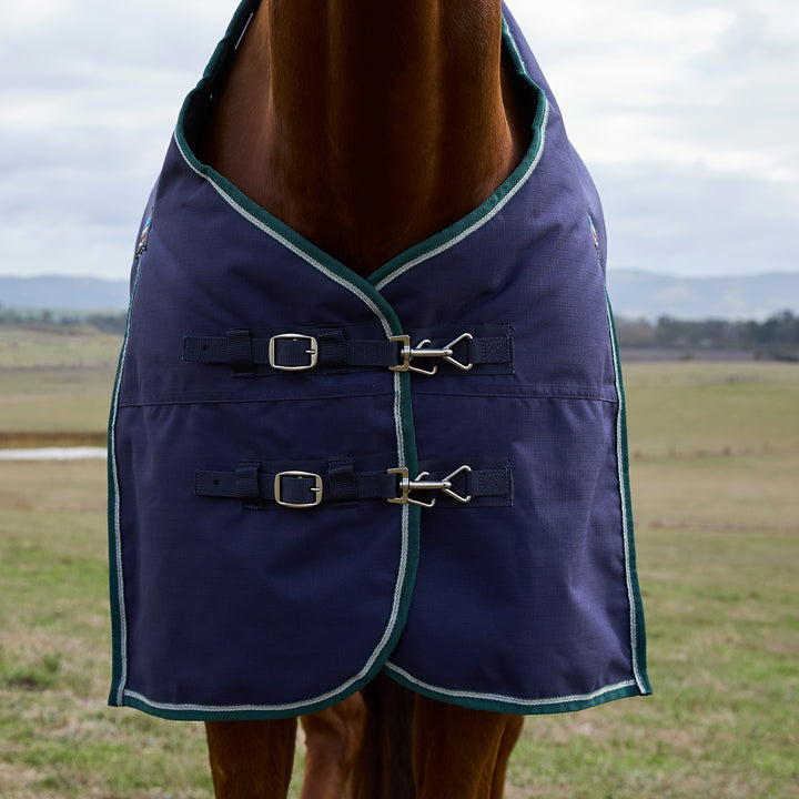 Weatherbeeta Comfitec Plus Dynamic 100g Standard Turnout