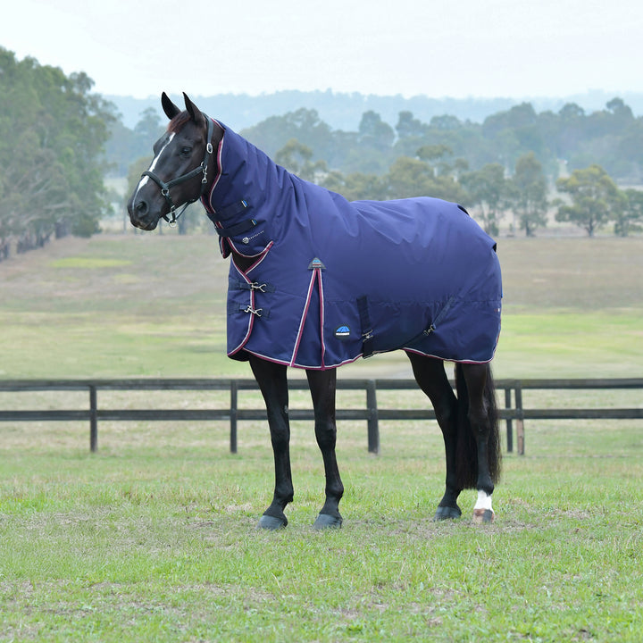 Weatherbeeta Comfitec Essential 360g Turnout Combo