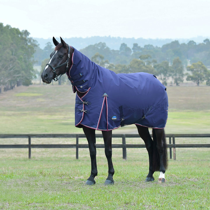 Weatherbeeta Comfitec Essential 220g Combo Turnout