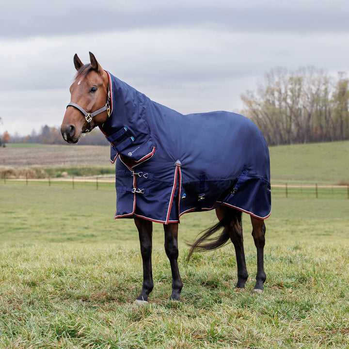 Weatherbeeta Comfitec Essential 220g Combo Turnout