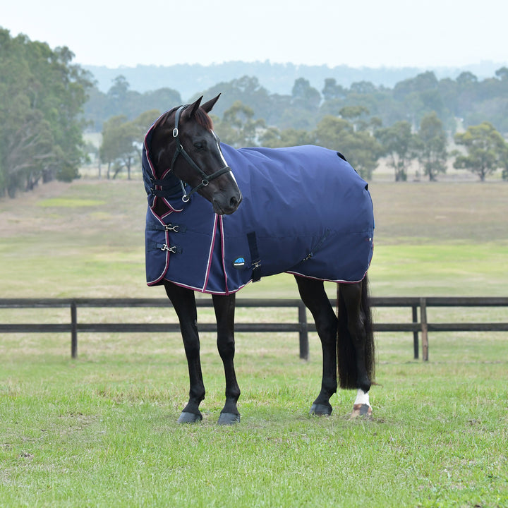 Weatherbeeta Comfitec Essential 220g Combo Turnout