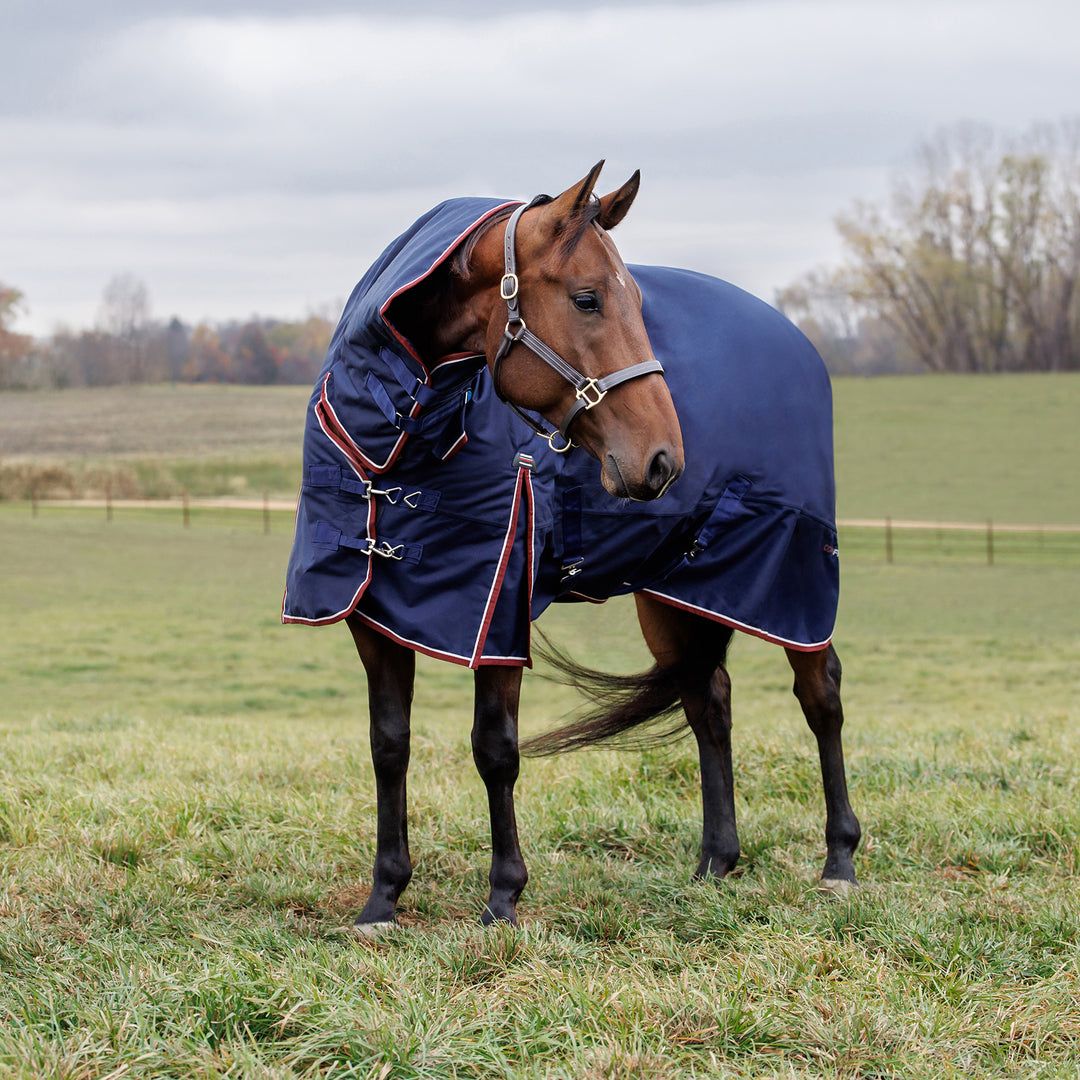 Weatherbeeta Comfitec Essential 220g Combo Turnout