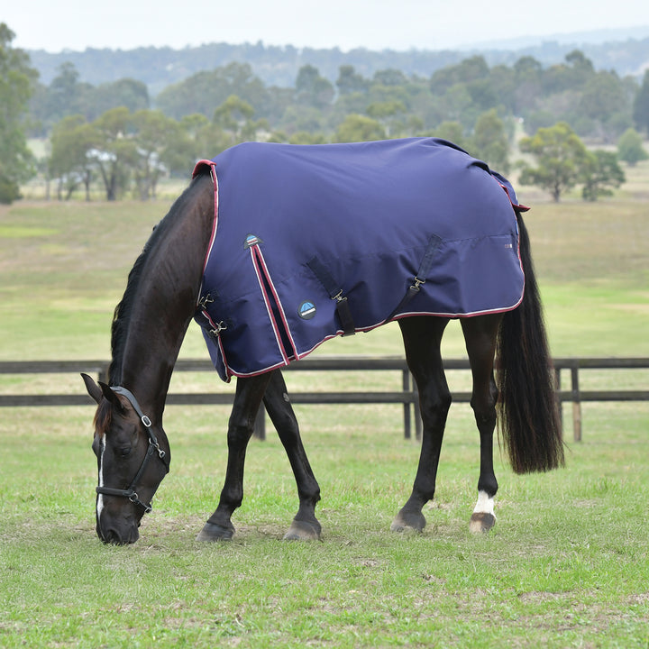 Weatherbeeta Comfitec Essential 100g Standard Turnout