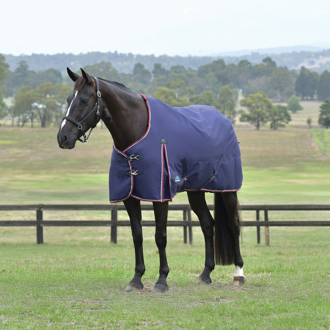 Weatherbeeta Comfitec Essential 100g Standard Turnout