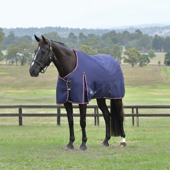 Weatherbeeta Comfitec Essential 100g Standard Turnout
