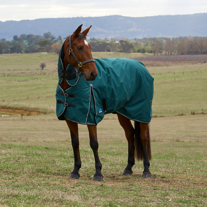 Weatherbeeta Comfitec Classic 360g Combo Turnout