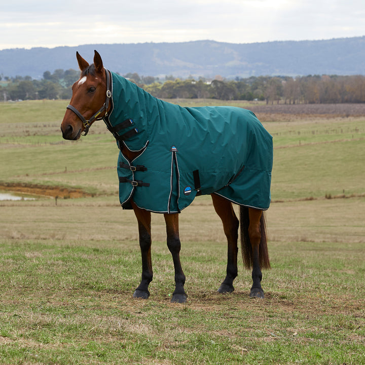 Weatherbeeta Comfitec Classic 220g Combo Turnout