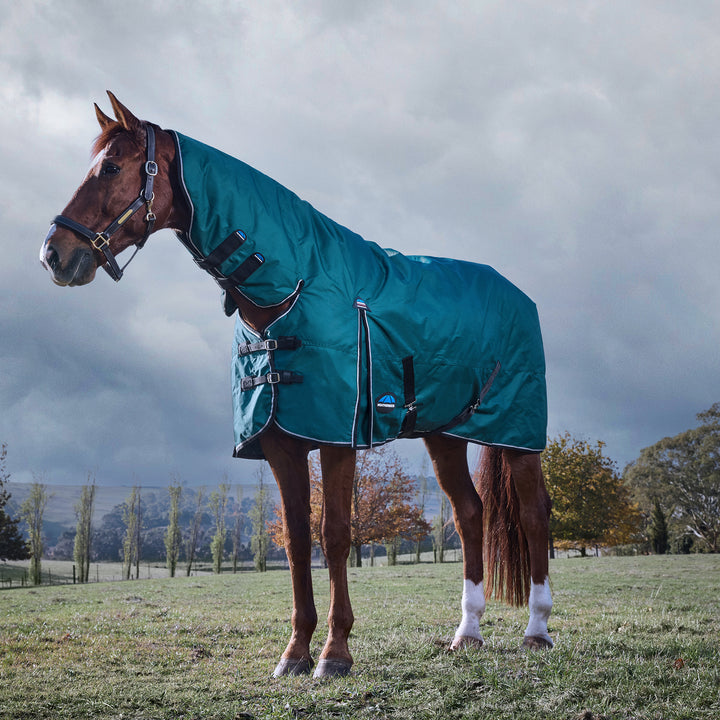 Weatherbeeta Comfitec Classic 220g Combo Turnout