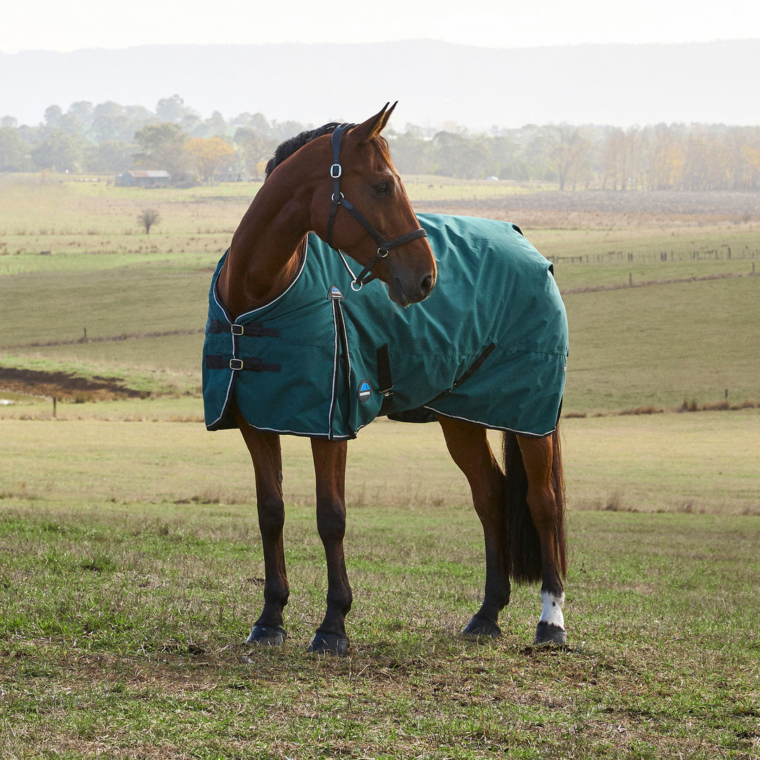 Weatherbeeta Comfitec Classic 220g Standard Turnout