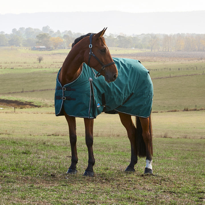 Weatherbeeta Comfitec Classic 220g Standard Turnout