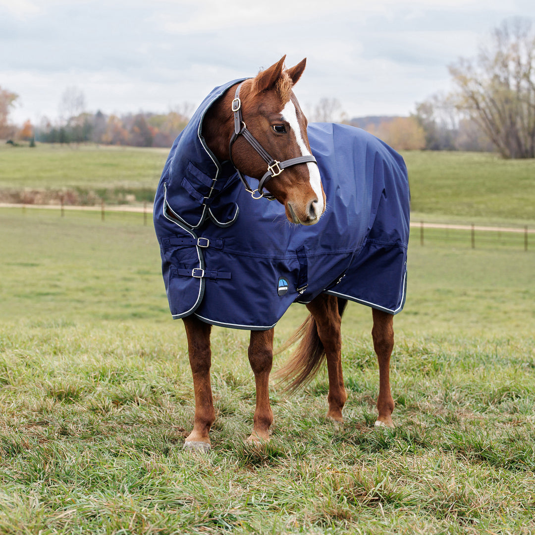 Weatherbeeta Comfitec Tyro 220g Combo Turnout