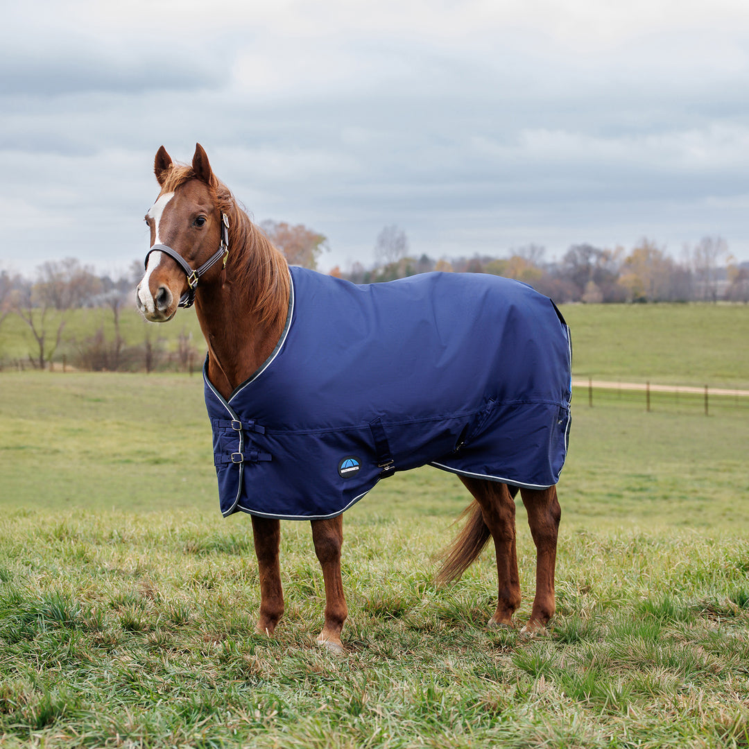 Weatherbeeta Comfitec Tyro 220g Standard Turnout