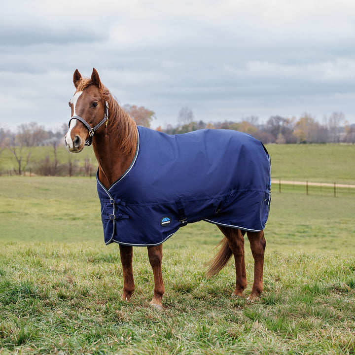 Weatherbeeta Comfitec Tyro 220g Standard Turnout