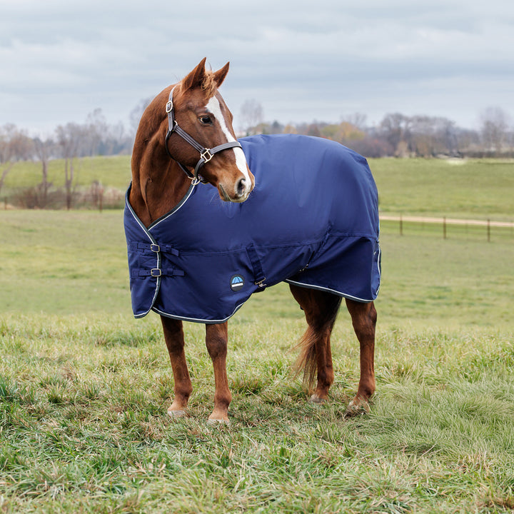 Weatherbeeta Comfitec Tyro 220g Standard Turnout