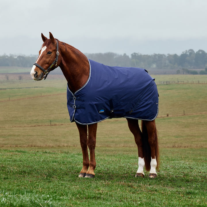 Weatherbeeta Comfitec Tyro 50g Standard Turnout