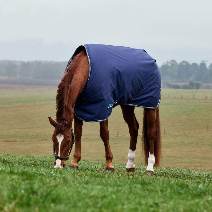 Weatherbeeta Comfitec Tyro 50g Standard Turnout