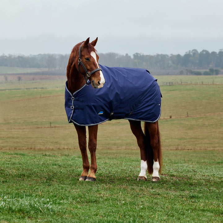 Weatherbeeta Comfitec Tyro 50g Standard Turnout