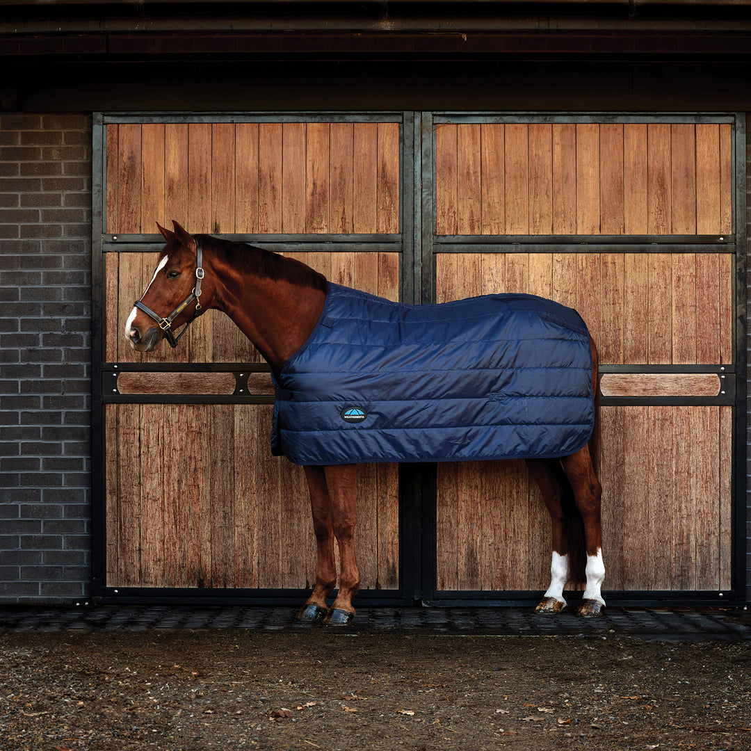 Weatherbeeta Comfitec 100g Liner