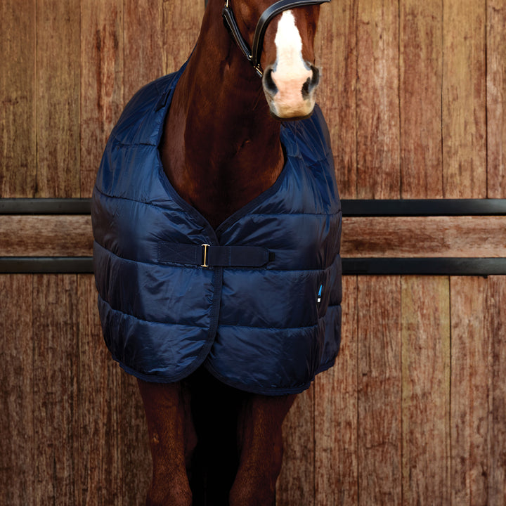 Weatherbeeta Comfitec 100g Liner