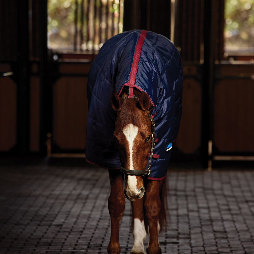 Weatherbeeta Comfitec 210d Channel Quilt 220g Combo Stable