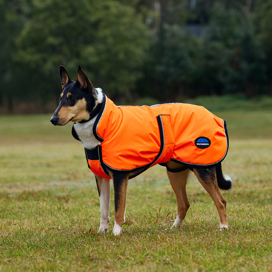 Weatherbeeta Comfitec Reflective 300D Deluxe Showerproof Dog Coat