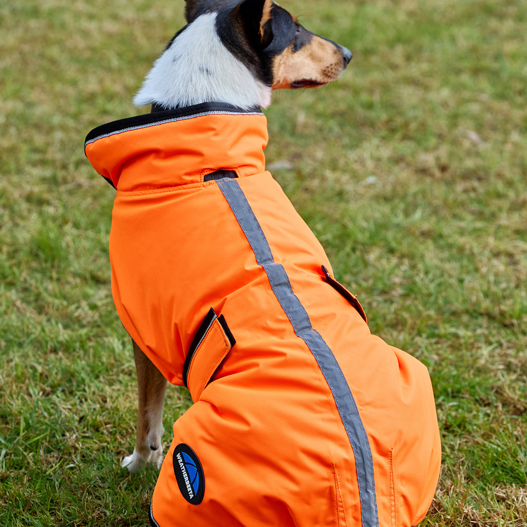 Weatherbeeta Comfitec Reflective 300D Deluxe Showerproof Dog Coat
