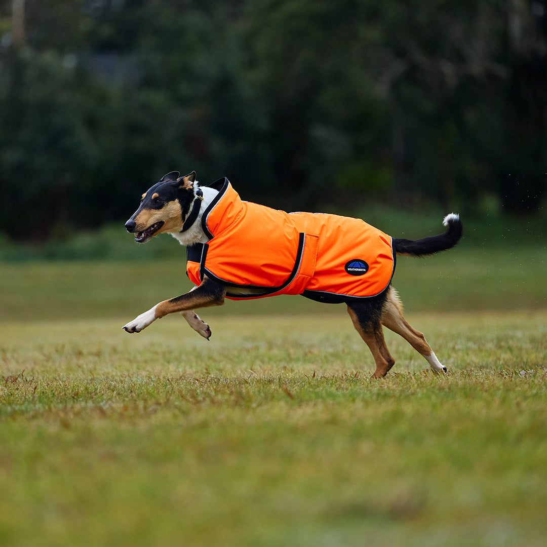 Weatherbeeta Comfitec Reflective 300D Deluxe Showerproof Dog Coat