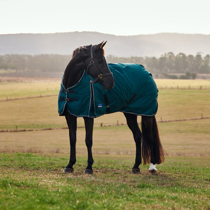 Weatherbeeta Comfitec Classic 50g Standard Turnout