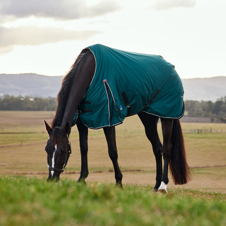 Weatherbeeta Comfitec Classic 50g Standard Turnout