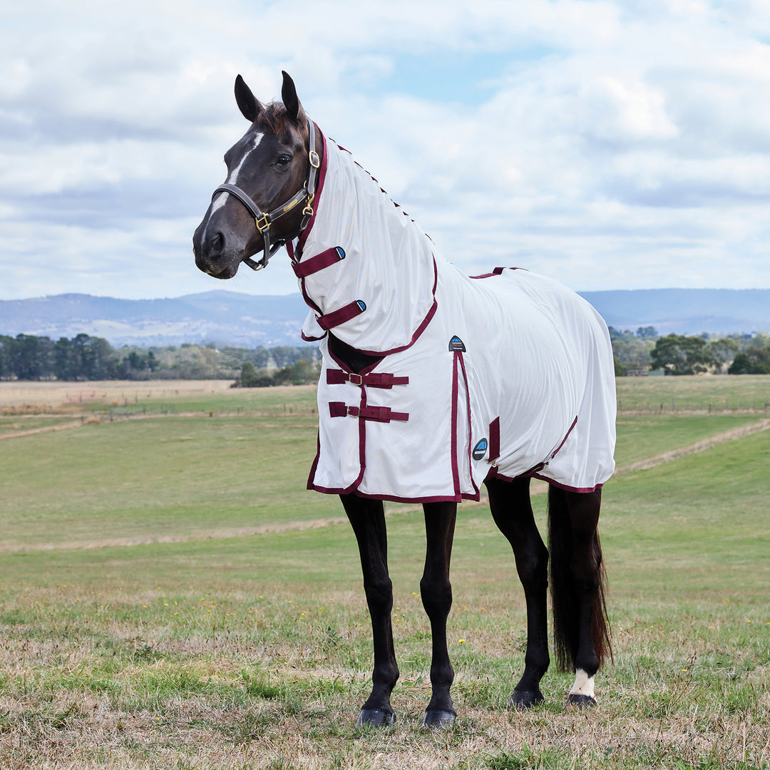 Weatherbeeta ComFiTec Essential Fly Sheet Combo