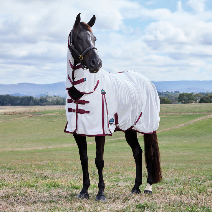 Weatherbeeta ComFiTec Essential Fly Sheet Combo
