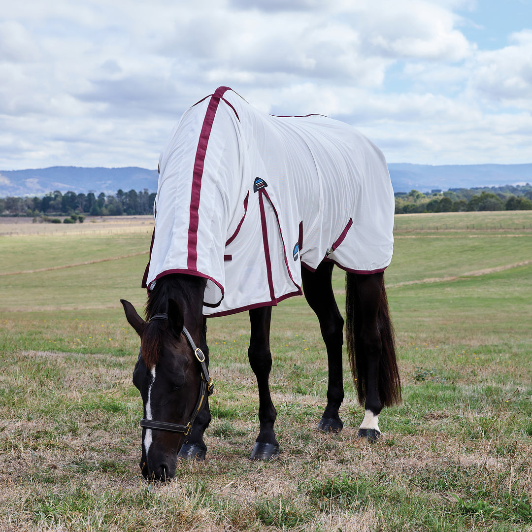 Weatherbeeta ComFiTec Essential Fly Sheet Combo
