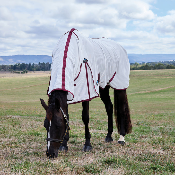 Weatherbeeta ComFiTec Essential Fly Sheet Combo