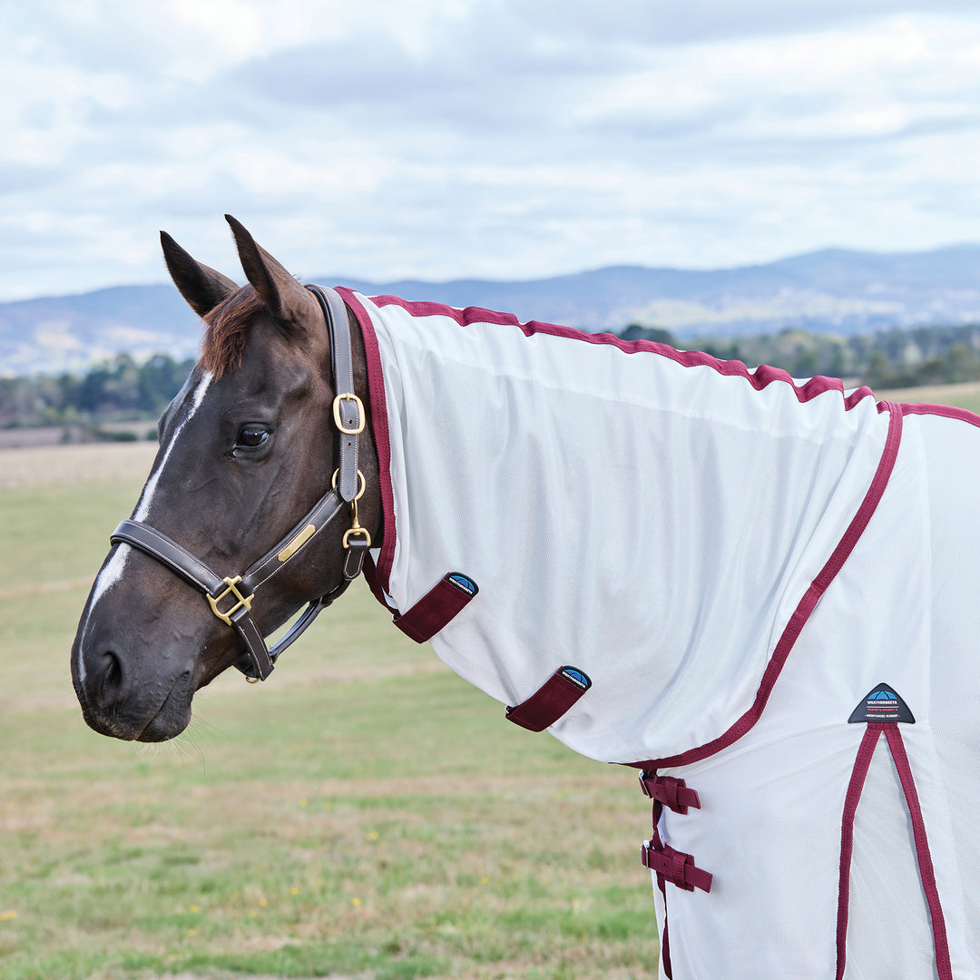 Weatherbeeta ComFiTec Essential Fly Sheet Combo