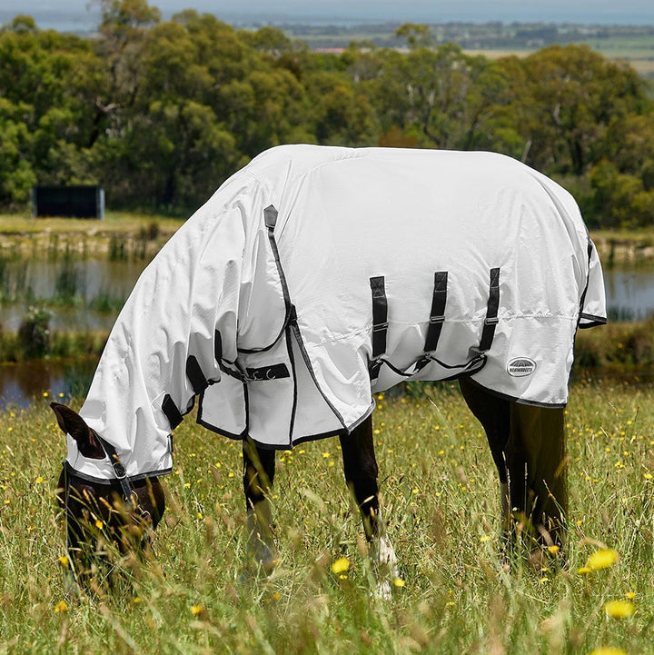 Weatherbeeta ComFiTec Sweet Itch Shield Fly Sheet Combo