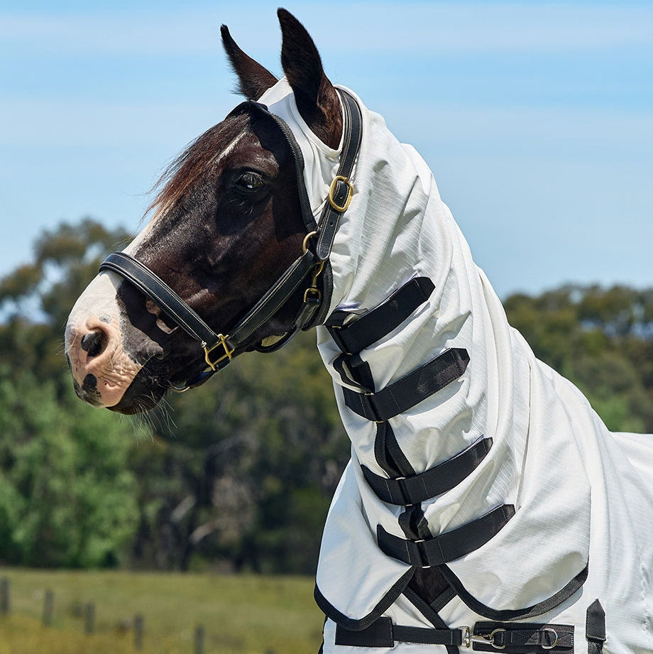 Weatherbeeta ComFiTec Sweet Itch Shield Fly Sheet Combo